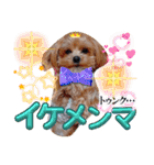 マルプーのメンマくん♪（個別スタンプ：37）