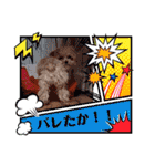 マルプーのメンマくん♪（個別スタンプ：38）