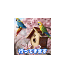 インコの挨拶2（個別スタンプ：15）