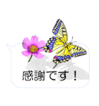 スマホの上の花と蝶2（ポップアップ）（個別スタンプ：7）