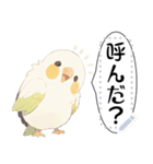 インコは言いたい（個別スタンプ：6）