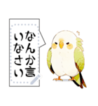 インコは言いたい（個別スタンプ：10）