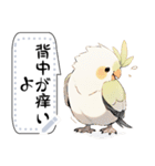 インコは言いたい（個別スタンプ：12）