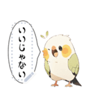 インコは言いたい（個別スタンプ：13）