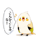 インコは言いたい（個別スタンプ：15）