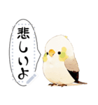 インコは言いたい（個別スタンプ：16）