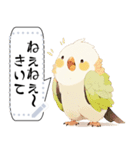 インコは言いたい（個別スタンプ：17）