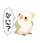 インコは言いたい（個別スタンプ：24）