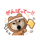 柴犬さだはる（個別スタンプ：6）