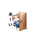 バレー男子猫の日常会話スタンプ（個別スタンプ：3）