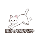 うちのねこ達は今日も元気（個別スタンプ：4）