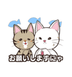 うちのねこ達は今日も元気（個別スタンプ：19）