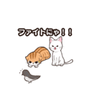 うちのねこ達は今日も元気（個別スタンプ：21）