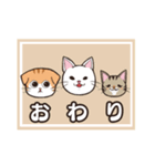 うちのねこ達は今日も元気（個別スタンプ：24）