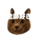 おしゃべりルイの独り言（個別スタンプ：1）