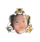 かわいいすいすいスタンプ（個別スタンプ：7）