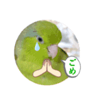 マメルリハ達16（個別スタンプ：2）