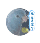 マメルリハ達16（個別スタンプ：3）