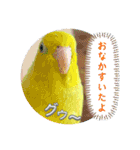 マメルリハ達16（個別スタンプ：5）