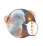 マメルリハ達16（個別スタンプ：8）