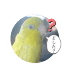 マメルリハ達16（個別スタンプ：9）