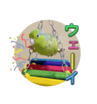 マメルリハ達16（個別スタンプ：10）