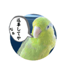 マメルリハ達16（個別スタンプ：14）