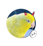 マメルリハ達16（個別スタンプ：17）