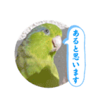 マメルリハ達16（個別スタンプ：18）