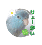 マメルリハ達16（個別スタンプ：19）