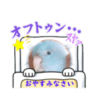 マメルリハ達16（個別スタンプ：20）