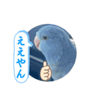 マメルリハ達16（個別スタンプ：23）