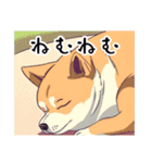 いろいろ犬日和（個別スタンプ：5）