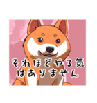 いろいろ犬日和（個別スタンプ：15）