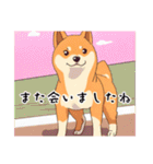 いろいろ犬日和（個別スタンプ：17）