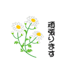 お花がいっぱい《初夏のスタンプ》（個別スタンプ：29）
