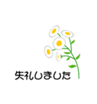 お花がいっぱい《初夏のスタンプ》（個別スタンプ：37）