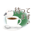 ふんわり＊シマエナガさん【純喫茶】修正版（個別スタンプ：24）