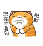 ランラン猫 53 (台湾版)（個別スタンプ：2）