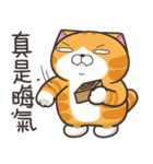 ランラン猫 53 (台湾版)（個別スタンプ：8）