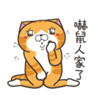 ランラン猫 53 (台湾版)（個別スタンプ：9）