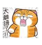 ランラン猫 53 (台湾版)（個別スタンプ：11）