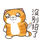 ランラン猫 53 (台湾版)（個別スタンプ：17）