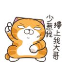 ランラン猫 53 (台湾版)（個別スタンプ：25）