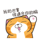 ランラン猫 53 (台湾版)（個別スタンプ：35）