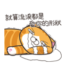 ランラン猫 53 (台湾版)（個別スタンプ：37）