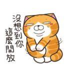 ランラン猫 53 (台湾版)（個別スタンプ：40）