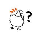 coolduckguy（個別スタンプ：13）