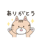 3種類の猫の日常（タメ語・敬語）（個別スタンプ：5）