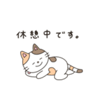 3種類の猫の日常（タメ語・敬語）（個別スタンプ：15）